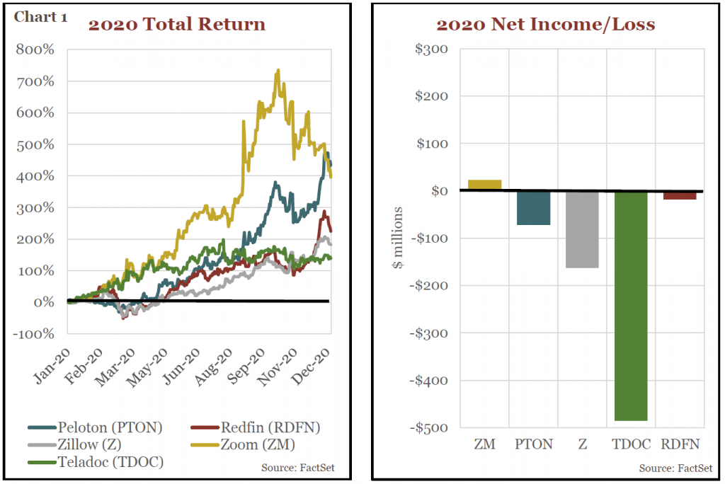 Chart- 2020 Total Return and Net Income/ Loss
